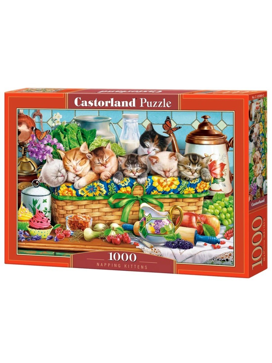 Castorland Пазл 1000 деталей Тихий час C-105069