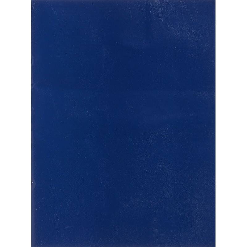 Тетрадь общая А4 96 листов в клетку на скрепке (обложка синяя, 050957) 897311
