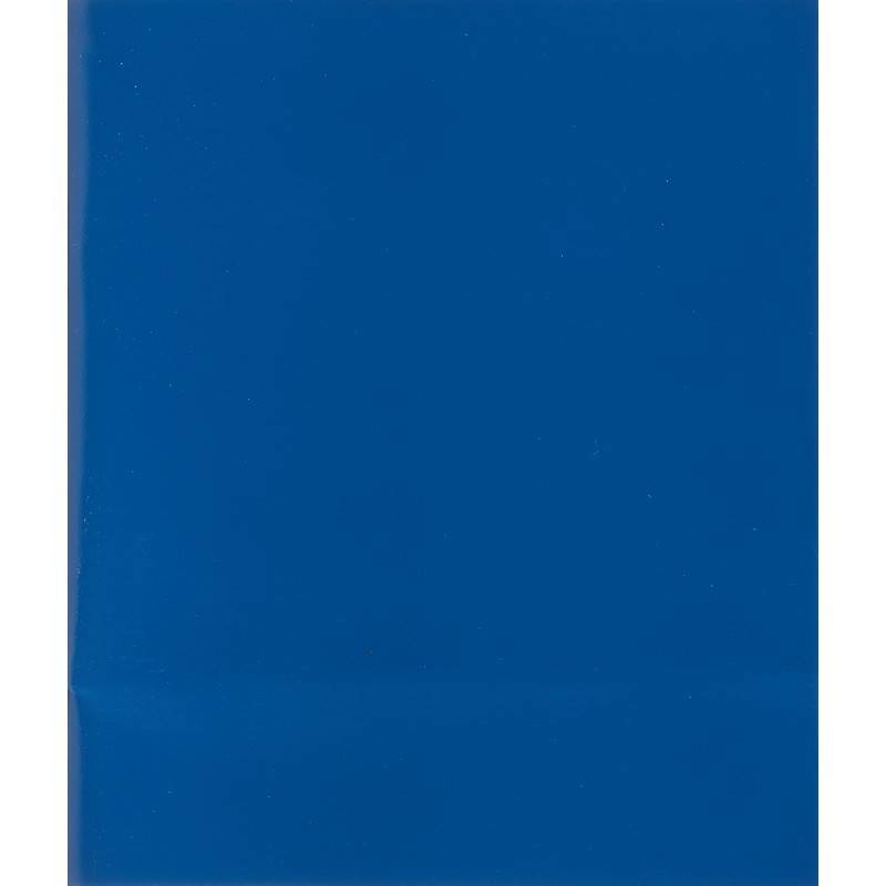 Тетрадь общая А5 48 листов в клетку на скрепке (обложка синяя) 916919