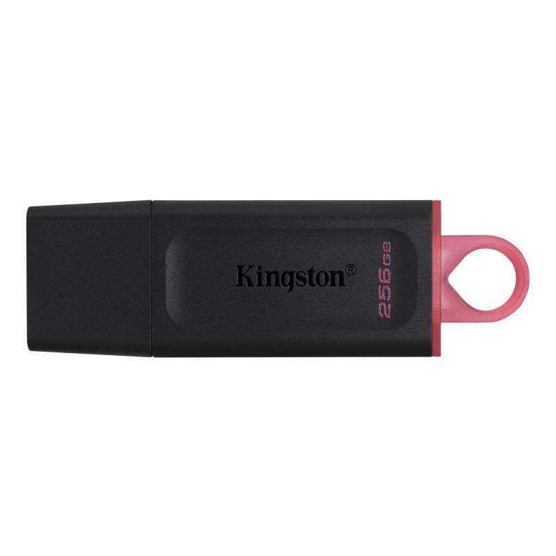 Флеш-память Kingston DataTraveler Exodia, USB 3.2 G1, роз/чер, DTX/256GB 1272365