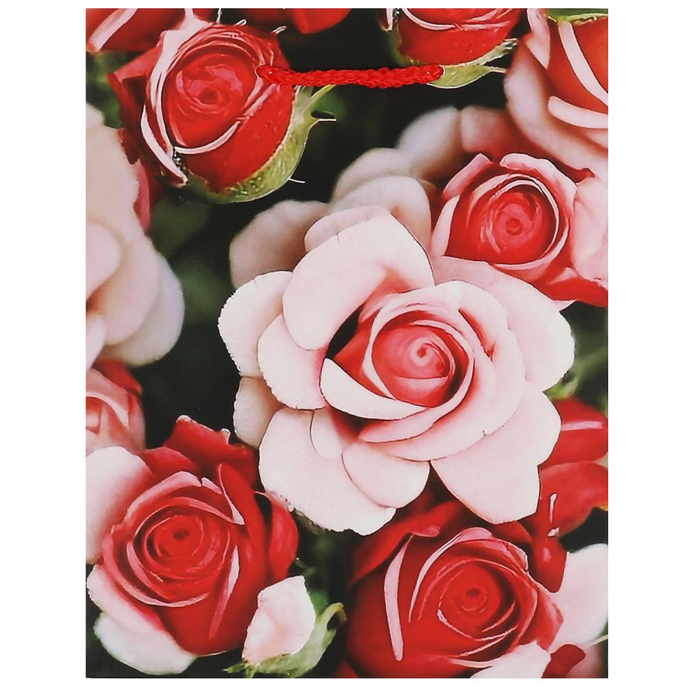 Пакет 18х23х10х10 см. Чудо праздник PM-104399-FLWR3