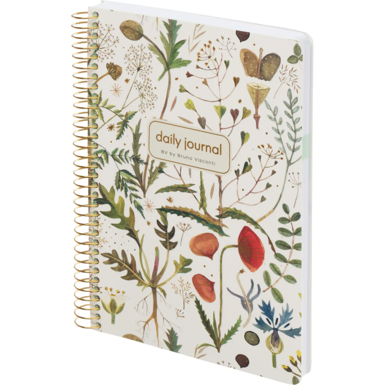 Ежедневник недатированный НА CUTE DIARY А5,BV,136,ЛУГ.ТР,зол.греб,3-701/11 Bruno Visconti 2395952