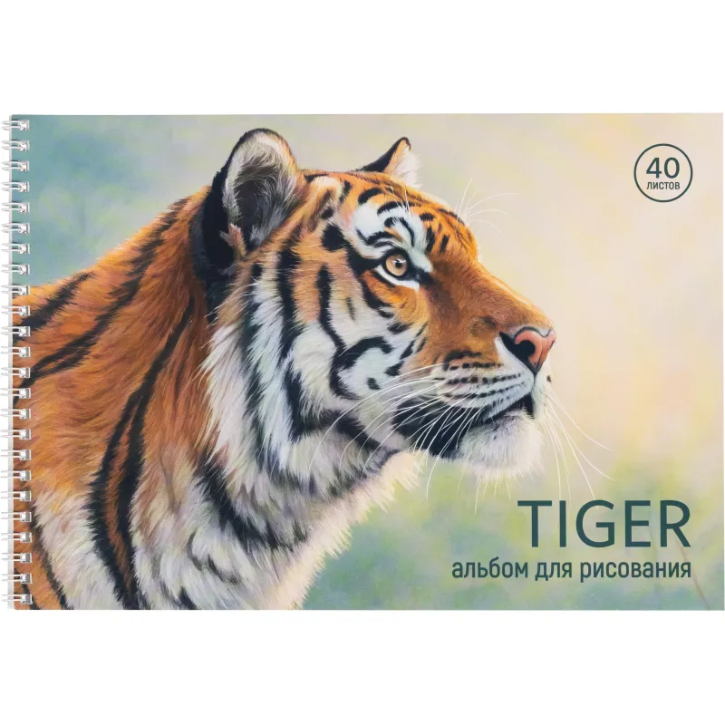 Альбом д/рисования Комус Класс Сафари,А4,40л,спираль,в асс,2шт/уп 2263157