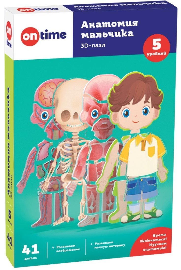 3Д обучающие пазлы для детей " Анатомия мальчика". ON TIME 45209