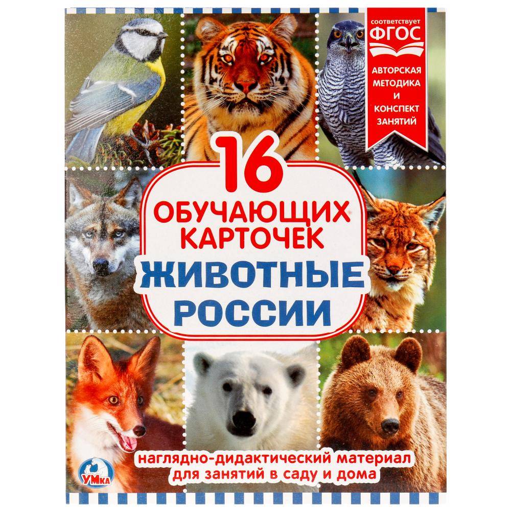 Фото Животных России Для Детей