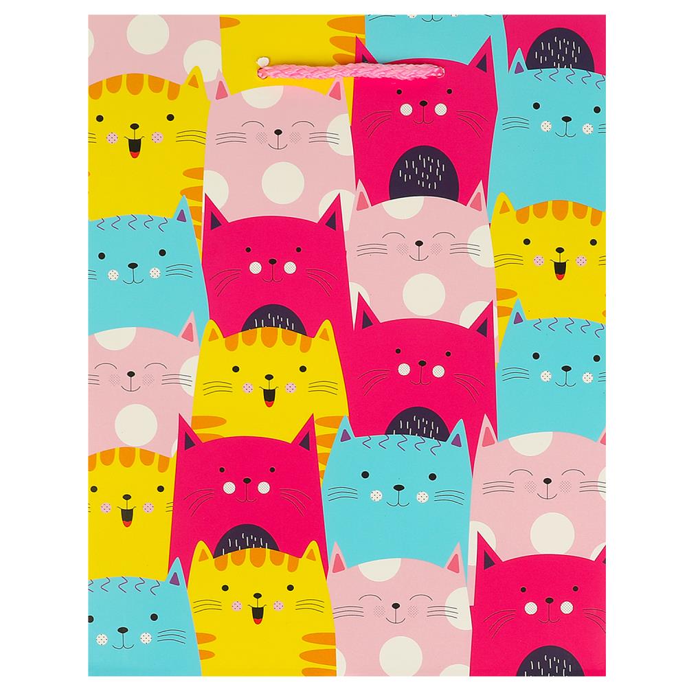 Пакет матовый подарочный, m, 18х23х10 см. Чудо праздник PM-108858-C2