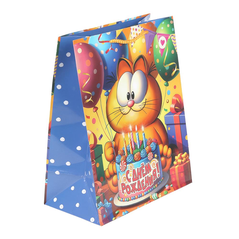 Пакет подарочный глянцевый L "Рыжий Кот", 140 гр/м Чудо праздник PL-130533-GF