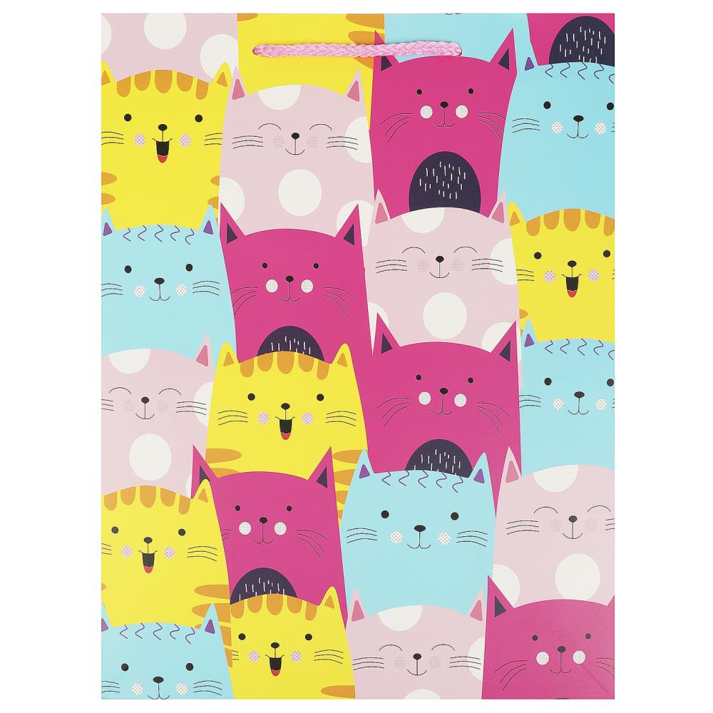 Пакет подарочный матовый ML, 22х31х10 см. универсальный Чудо праздник PML-108859-C2