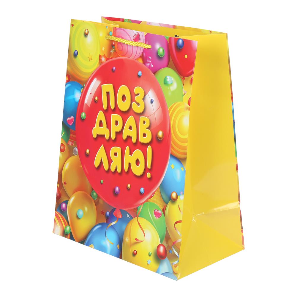 Пакет подарочный глянцевый L "Шарик", 140 гр/м Чудо праздник PL-127478-HB6