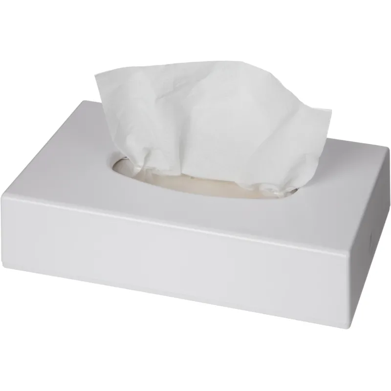 Диспенсер для салфеток косметических Luscan пласт.белый 1898976 Tissue Dispenser V_9001