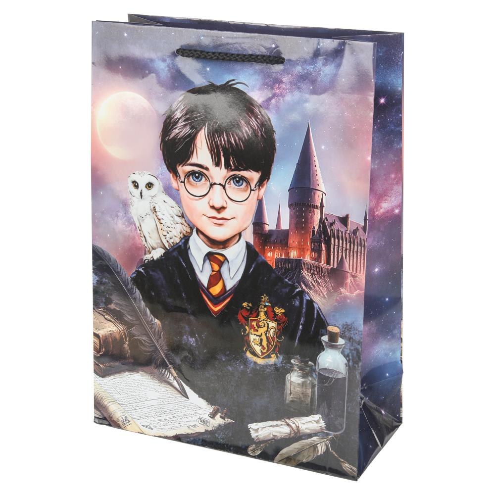 Пакет подарочный глянцевый ML,"Школа волшебства", 140 гр/м Чудо праздник PML-130552-HP