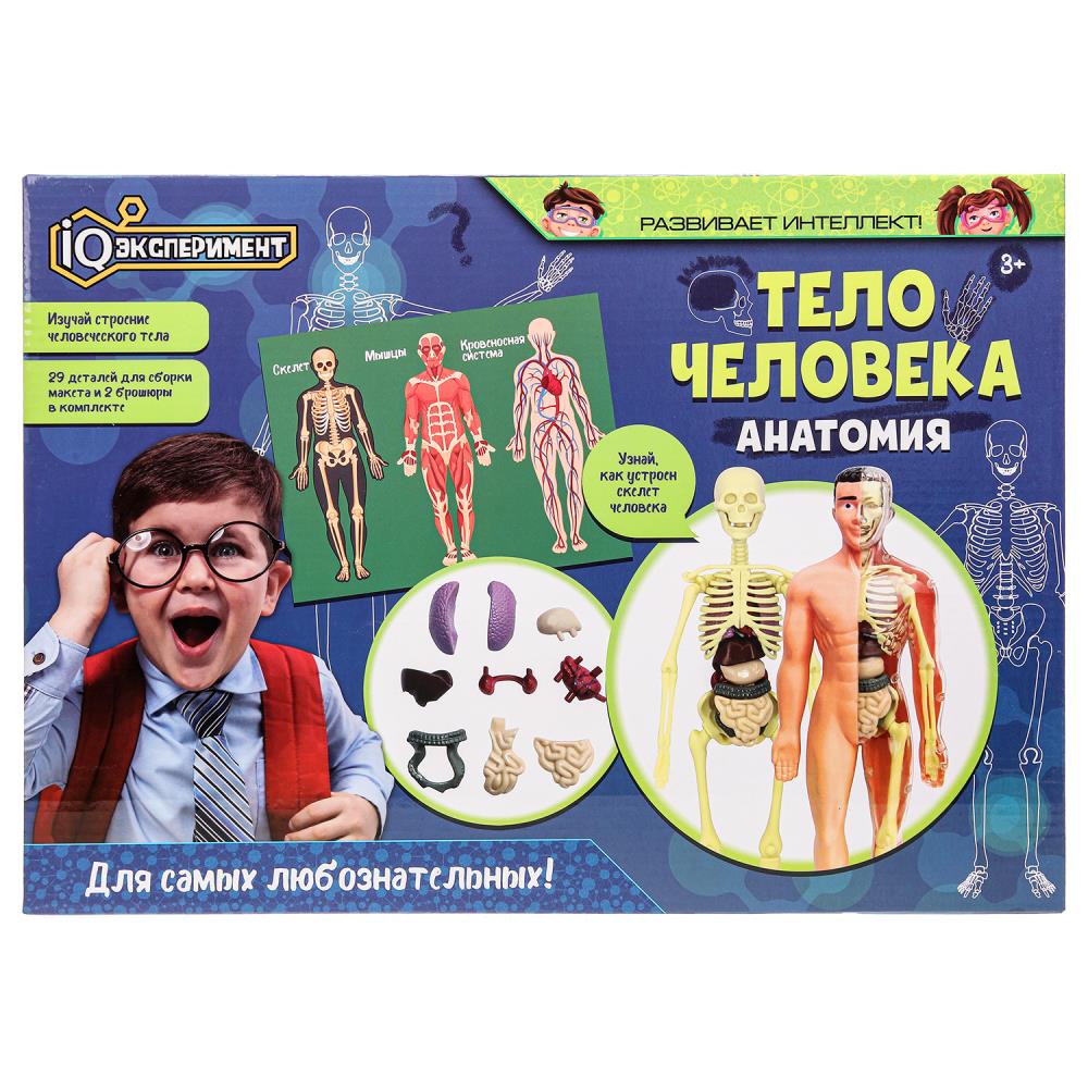 Набор Опыты. Анатомия тело человека Играем Вместе A365-H24039-RU