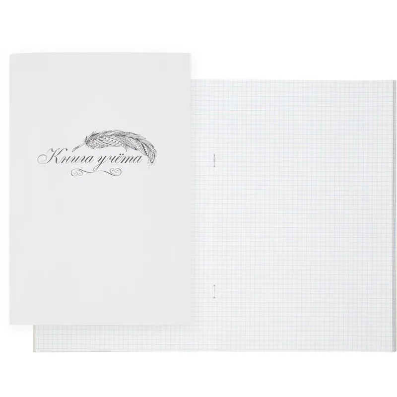 Книга учета Выбор есть А4 48л клетка блок типограф обл. картон 1941791