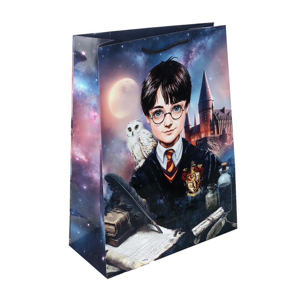 Пакет подарочный глянцевый XL, "Школа волшебства", 140 гр/м Чудо праздник PXL-130554-HP