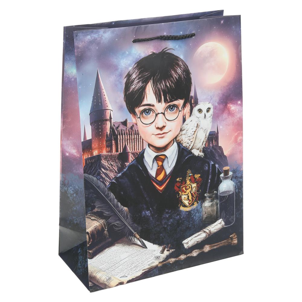 Пакет подарочный матовый ML, "Школа волшебства", 140 гр/м Чудо праздник PML-130217-HP