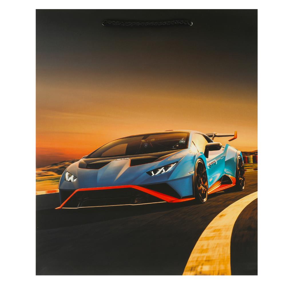 Пакет подарочный матовый L, 26х32х14 см. большой Чудо праздник PL-102346-LG