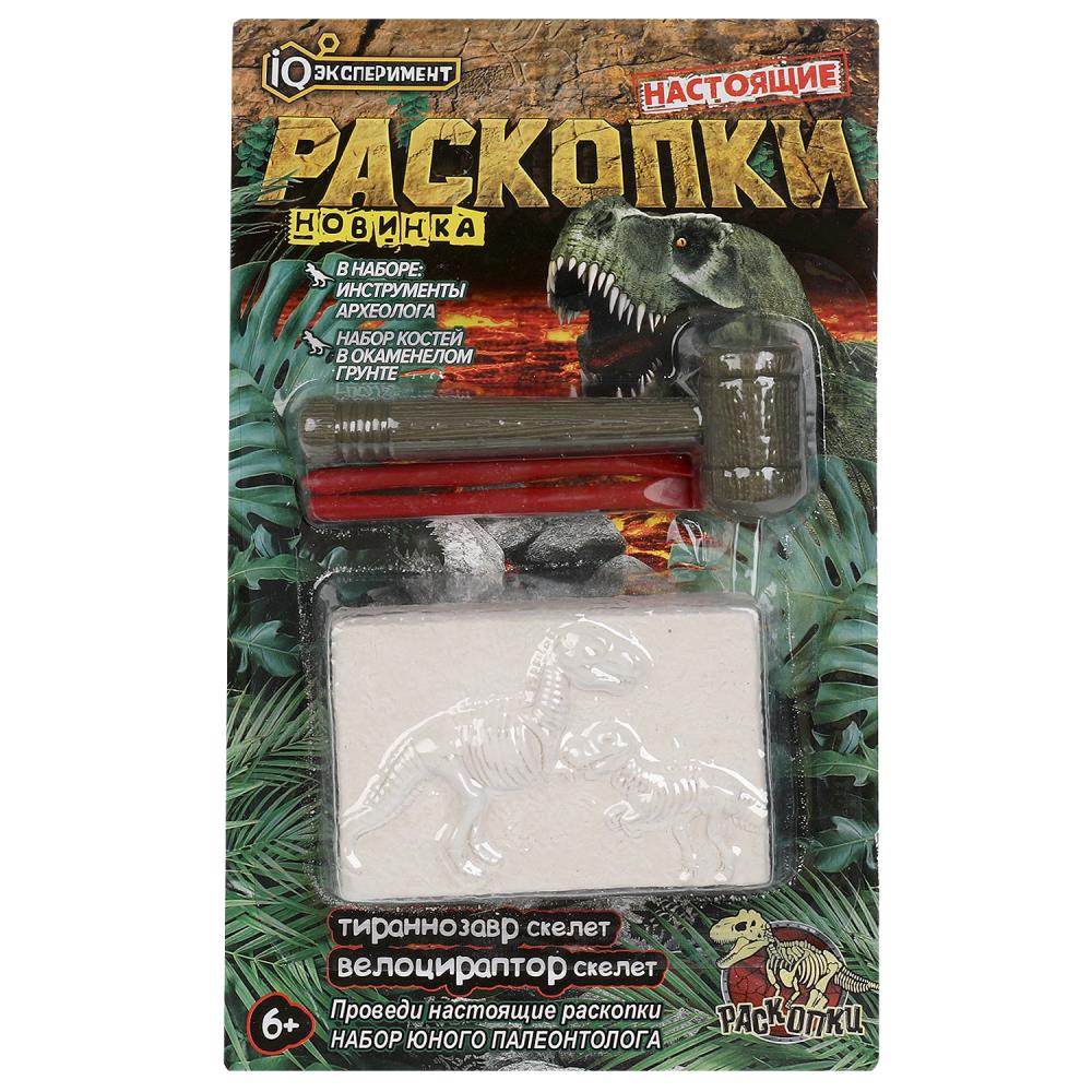 Набор раскопки 2 скелета динозавров IQ Эксперимент 1901K092-4-RU