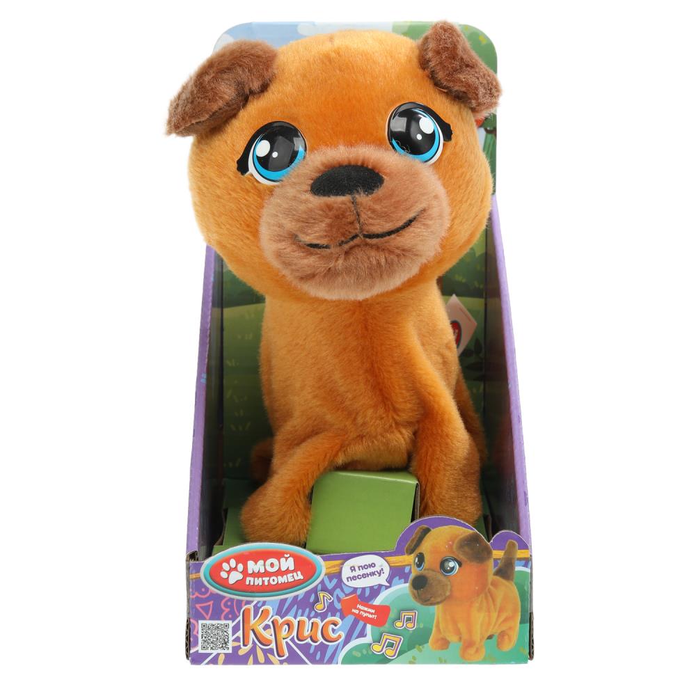 Интерактивный щенок Кузнецова Крис, 16 см. поводок, ходит, песни Мой питомец HTL2425C1