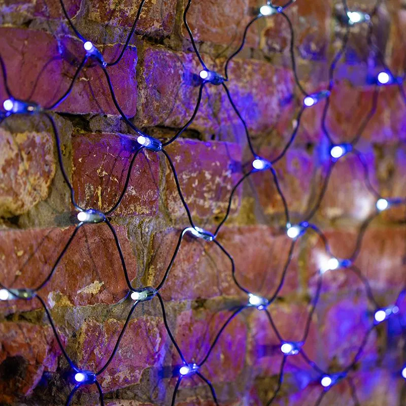 Гирлянда светодиодная Сеть 432 LED 2,5х2,5м, черный ПВХ,Белые/Синие 215-032 Neon-Night 1029702