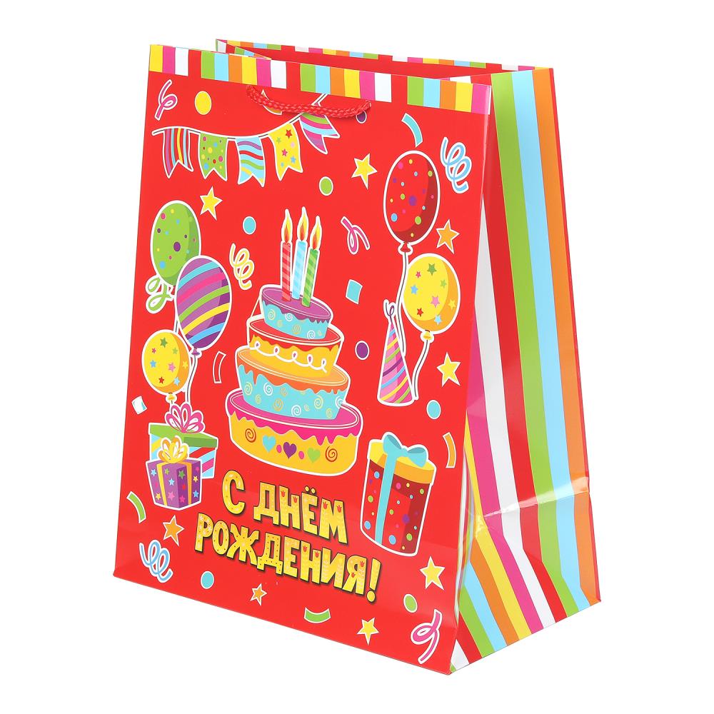 Пакет подарочный глянцевый L "Тортик", 140 гр/м Чудо праздник PL-127476-HB5