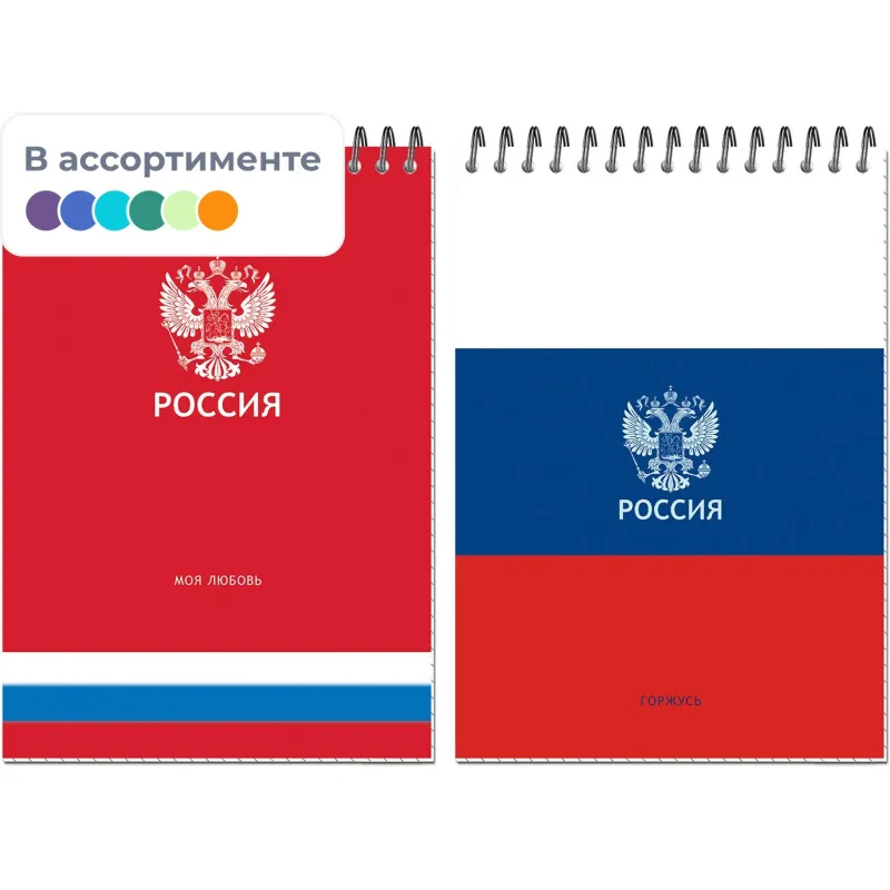 Блокнот А5 Россия 50л УФ лак клетка, спираль 2 дизайна, ассорти, 3344 Полином 2074140